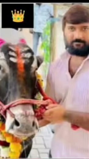 ११ डिसेंबर, २०२५