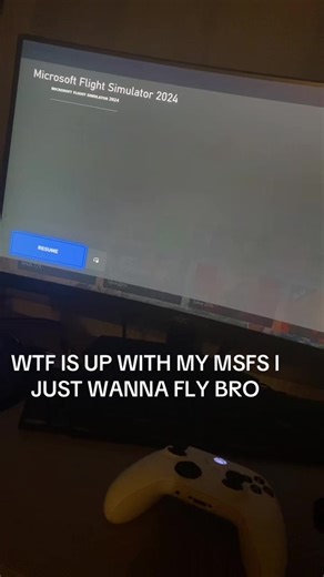 MSFS Help: Glitching Issues in Flight Simulation