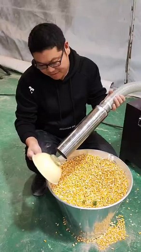 How to Process Corn Kernels Efficiently