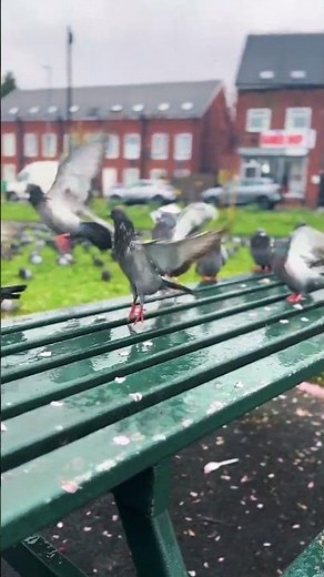 Manchester cathedral explore historic landmark in the heart of manchester