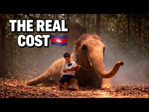 Cost of Living in Cambodia (2026) | Full Price Breakdown
