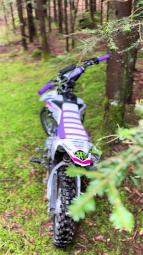 🌲🌲#nature #fyp #viral #europe #summer