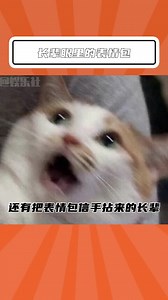 #表情包 长辈们世界里的表情包也太可爱了吧！！#日常 #聊天记录 #聊天表情包 #聊天截图