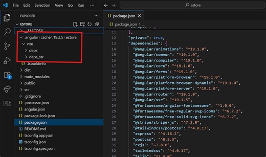 Angular 19 : Why Angular Creates a .angular/ Cache Folder ?