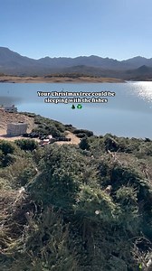 This past holiday season, Gilbert residents gave their Christmas trees a second life through the town’s annual recycling program. 🌲 Nearly 2,000 Christmas trees were recycled and repurposed, keeping trees out of landfills, and benefiting our environment in more ways than one: 🐟 515 trees made a splash at Bartlett Lake, creating cozy fish habitats in collaboration with the Arizona Game & Fish Department. 🌱 1,386 trees were transported to the Salt River Landfill Green Waste program, where they 