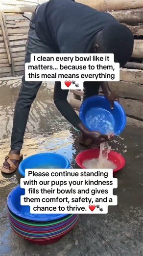 Every life matters ❤️ Your support gives me strength to keep going. PayPal 🔗 in my bio 🙏 #fyp