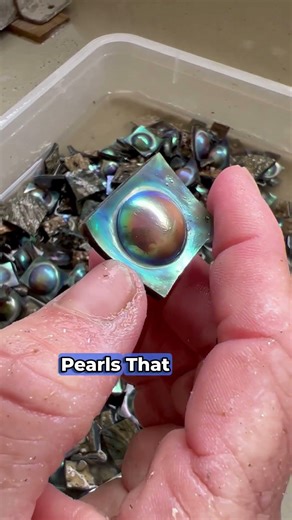 Using a diamond saw, we carefully cut the pearl from the paua shell. A delicate proce...