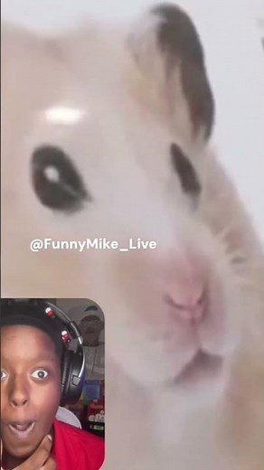 FUNNYMIKE WASNT PLAYIN NO GAMES ON THIS DISS TRACK😱||#disstrack #funnymike #fyp #reaction