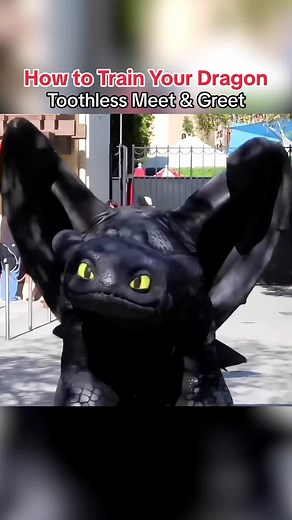 To celebrate all the newly released details of “How to Train Your Dragon: Isle of Berk” coming to Universal’s Epic Universe in Orlando… Did you know that Toothless had a very brief meet & greet at Universal Studios Hollywood back in 2019 for the release of How to Train Your Dragon: The Hidden World?!?!? #universalstudios #epicuniverse #howtotrainyourdragon #toothless