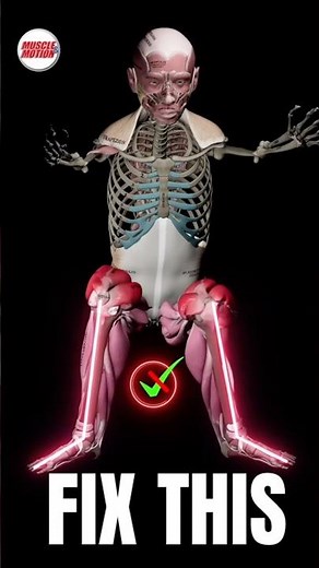 4 Steps To A PERFECT SQUAT! #gym #technique