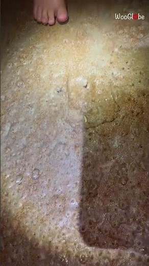 Florida Beach Magic: Waves Unveil Hidden Sand Fleas || WooGlobe