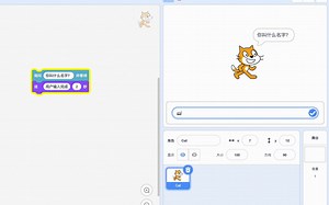 Scratch3.0学习手册——【侦测】询问(你叫什么名字？)并等待
