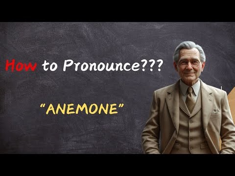 How to Pronounce "Anemone" | Say It Right: Anemone Meaning & Pronunciation Guide