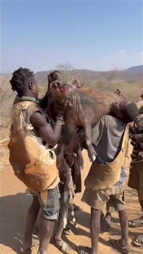 African tribes hunting methods | how Africans hunt with arrows | Ethiopian hunting| black Africans