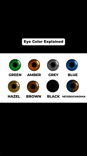 Understanding Eye Colors: Genetics, Rarity, and Traits