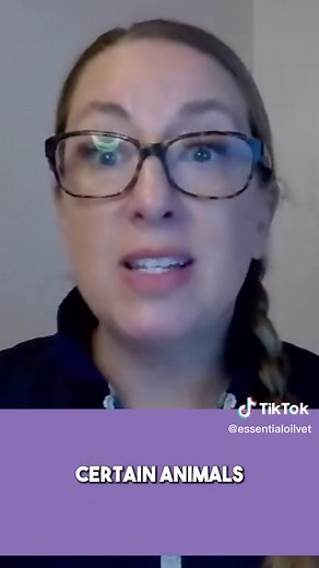 Using Diffusing Oils for Cats with Asthma