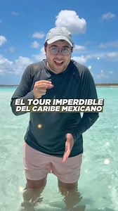 Uno de los tours IMPERDIBLES del Caribe Mexicano: El tour al cielo en Cozumel. Agua transparente, colores del mar que no se ven en casi ningún otro lugar, vida marina increíble y una isla con una vibra única. Si vienes al Caribe Mexicano, tienes que vivir Cozumel al menos una vez. Reserva con Tribu Nómada Travel 🌴 #TribuNómada #TribuNómadaTravel #Cozumel #ElCieloCozumel | Tribu Nómada