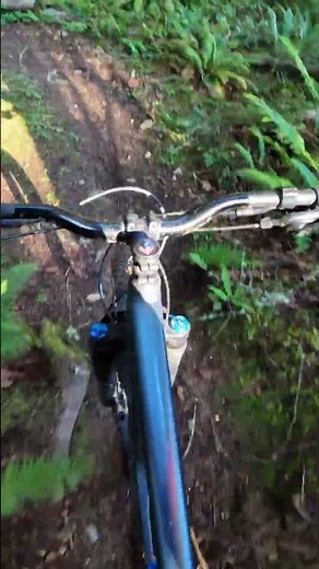 Upper Gater at Dry Hill in Port Angeles | Watch The Full Video With The Link!