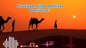 Classical Muuziqaa kuni kan Weellisaa kamiiti ykn Sirba maal jedhuuti? | Abbichuu Nagaasaa