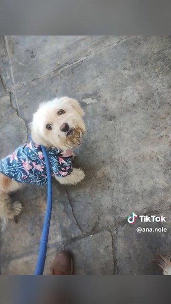 @Goku nole m @laura Nole ❤️