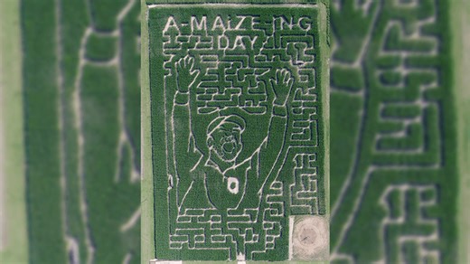 'A-maize-ing!' Corn maze depicts Ohio State coach Ryan Day