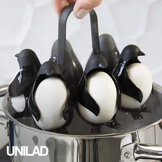 This may be the cutest way of cooking eggs! 😍🐧 | UNILAD