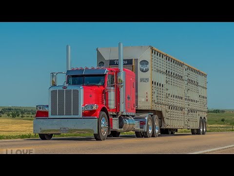 49. X15 Cummins 300,000 Mile Review 👍👍