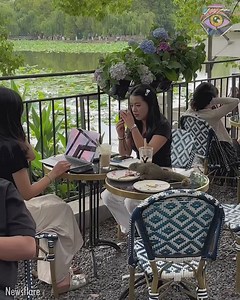 Squirrel enjoys dessert at restaurant table | 5-Minute MAGIC