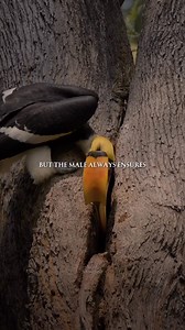 Parenthood is teamwork. Each parent has a role – one provides, one protects, both give everything for their children. ⠀ We help people improve their lives through business and educational content. ⠀ #motivationmonday #successmindset #mindsetmastery #selfimprovement #positivevibes #personalgrowth #achievgreatness #mindfulness #inspiredaily #goalsetting #empoweryourself #lifesuccess #dreambig #mindsetshift #motivationquotes #mindfulliving #successhabits #selfdevelopment #believeinyourself #positiv