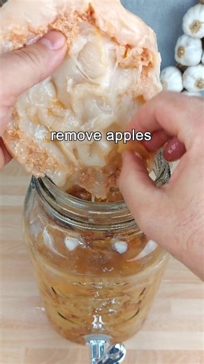 15K views · 90 reactions | Vinegar mother care made simple! Clean it. Divide it. Store it. Keep making delicious homemade ACV forever.  Want the full guide? Comment ACV below! | Taste Spell | Facebook