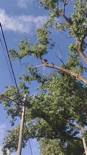 Juan Rodriguez on Reels