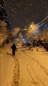 WINTER SNOWFALL ❄️ GOLDEN WINTER#winter #snow #snowfall #goldenwinter