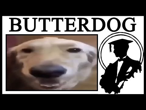 Why Is Butterdog Important?