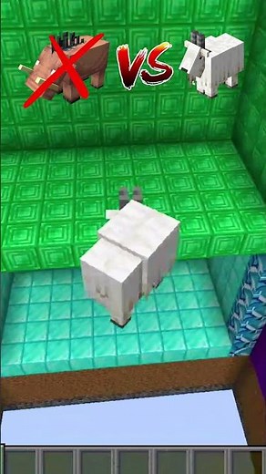 Minecraft Jump Challenge 🐗 Hoglin vs Goat – Who Makes the Leap?
