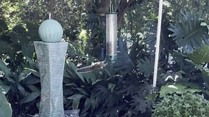 Squirrel spins around bird feeder like a ninja trying to steal bird seeds