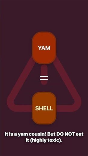 Is it a Rock or a Turtle Shell? Don't Eat This! 🐢🌱 #shorts