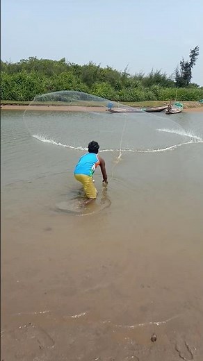 Most fish Ever Caught short # Net fishing # video