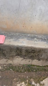 Iyi ndiye favorite part of the Sabbath 😅🙌🏻… you can even tell from these guys 😅😅 | Zither Harmony