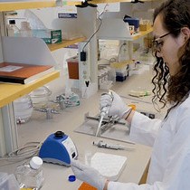 Video: Fabrication of Anisotropic Polymeric Artificial Antigen Presenting Cells for CD8  T Cell Activation