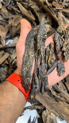 Fragrant Wood Is More Valuable Than Gold😱