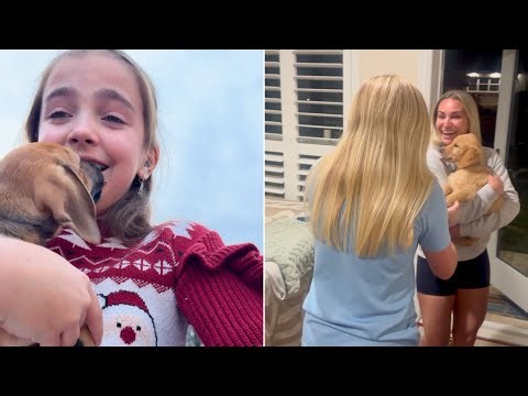 Best of Cutest Puppy Surprise Compilation 2025