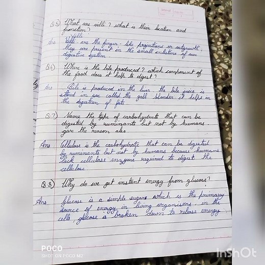 class 7 Science chapter 2 Nutrition in animals question and answers