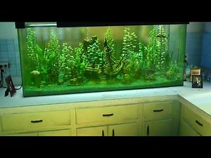 PDI|DreamWorks/ After Credits/ DreamWorks Pictures/ Aardman (2003)