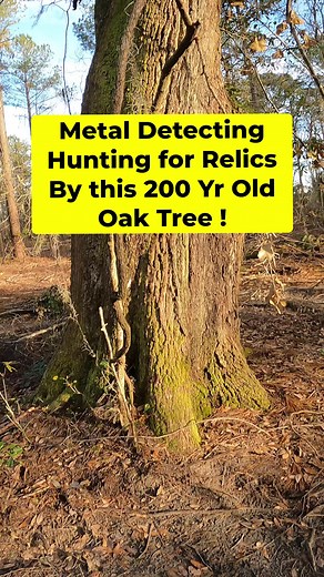 350K views · 3.5K reactions | Come along on this fun plantation hunt where we will be metal detecting next this 200-300 year old oak tree ! Relics have to be nearby ! #metaldetecting #detecting #savinghistory #metaldetectingfinds #xpdeus #xpdeus2 #deus2 #relichunting #reels #colonialrelics | Southern Relic Adventures | Facebook