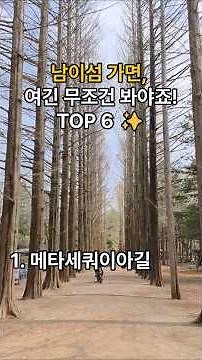 남이섬 실패 없는 필수 코스 6곳📍