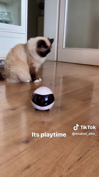 Experience the perfect companion for your family with EBO SE. If you're frequently away from home and want to ensure the well-being of your loved ones, EBO SE is the ideal choice. Created by @oralieandnemo#Enabot #EnabotEBOSE #Petcamera #primeday #amazonfinds #tiktokmademebuyit