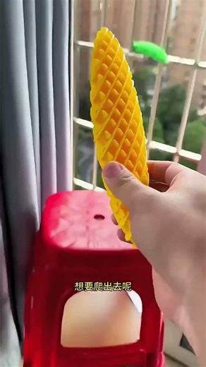 😂👀 When the Window View Wins! Pintu & Damru Forget Everything 🪟🌤️