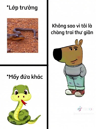 Chill Guy Moments: Relaxation and Fun in School