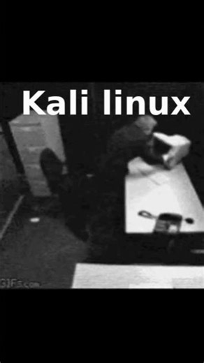 kail linux удивляет #linux