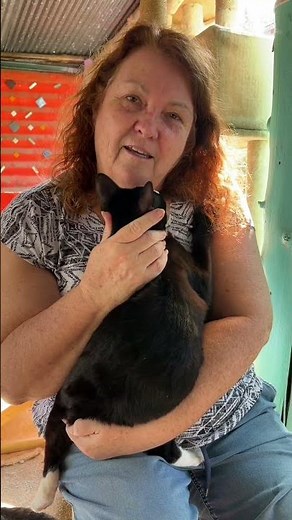 Stan And Ollie Need a New Home